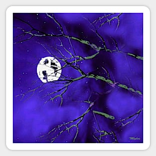 Night Tree Branches and a Silver Moon Sticker